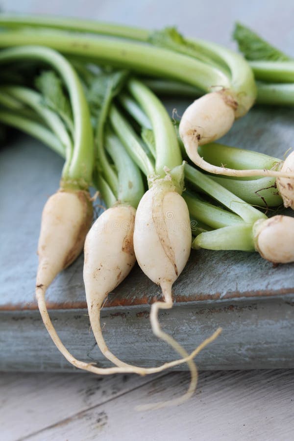 Baby Turnips Wooden Background Stock Photos Free & RoyaltyFree Stock