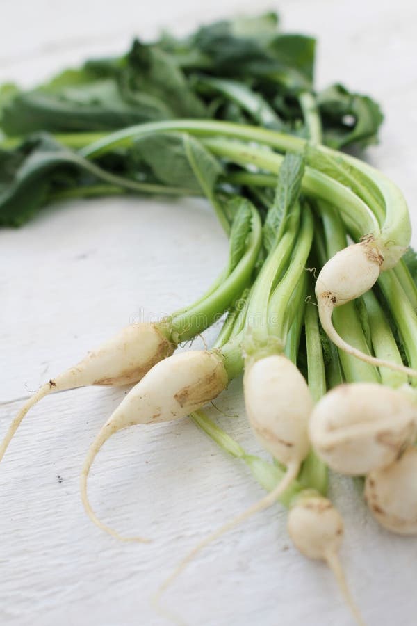 Baby Turnips Wooden Background Stock Photos Free & RoyaltyFree Stock