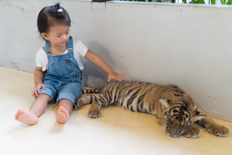 Baby- und Babytiger im Park lizenzfreie stockfotos Baby- und Babytiger im Park lizenzfreie stockfotos
