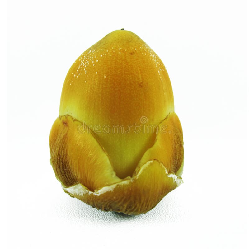 Baby Yellow Coconut Fruit, Isolated on White Background Stock Image Image of fruit, isolated