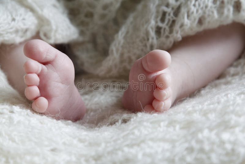 babyfeet royaltyfri fotografi babyfeet royaltyfri fotografi