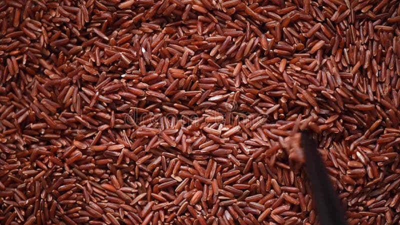 Bacca di riso organico cruda, pasta mista di riso bruno su fondo rotante Concetto di ingrediente alimentare Vista dall'alto, inte