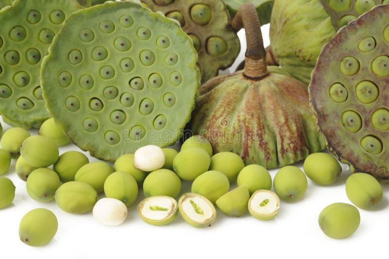 Baccelli del seme del loto immagini stock libere da diritti Baccelli del seme del loto immagini stock libere da diritti