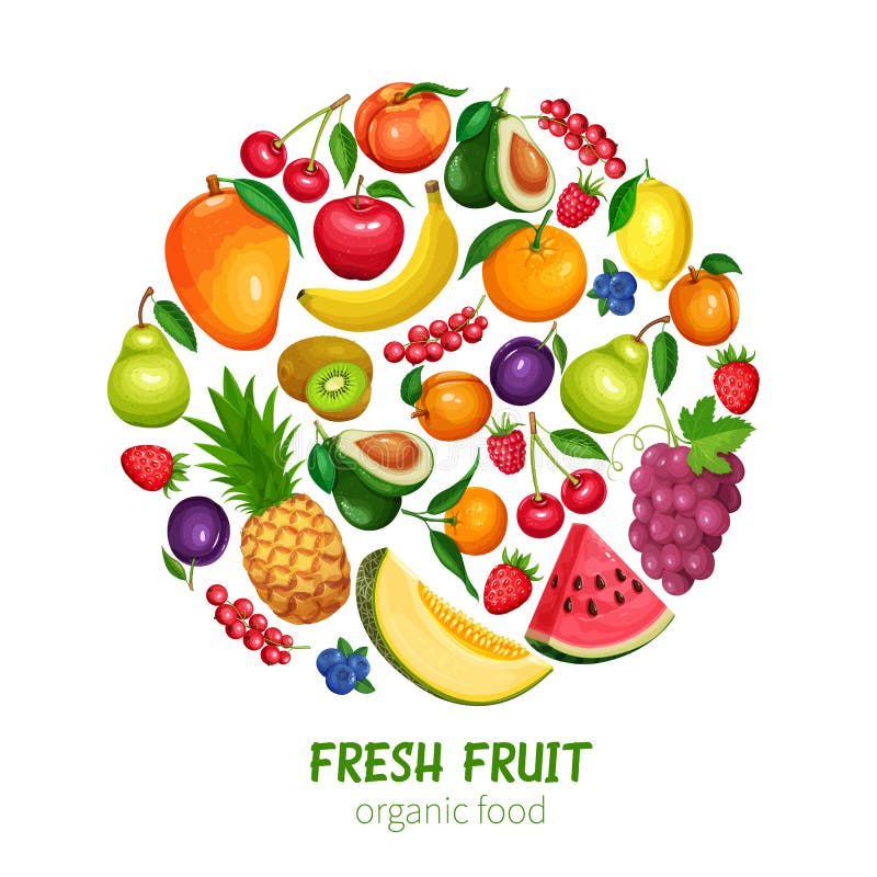 Bacche e progettazione di frutti illustrazione di stock Bacche e progettazione di frutti illustrazione di stock