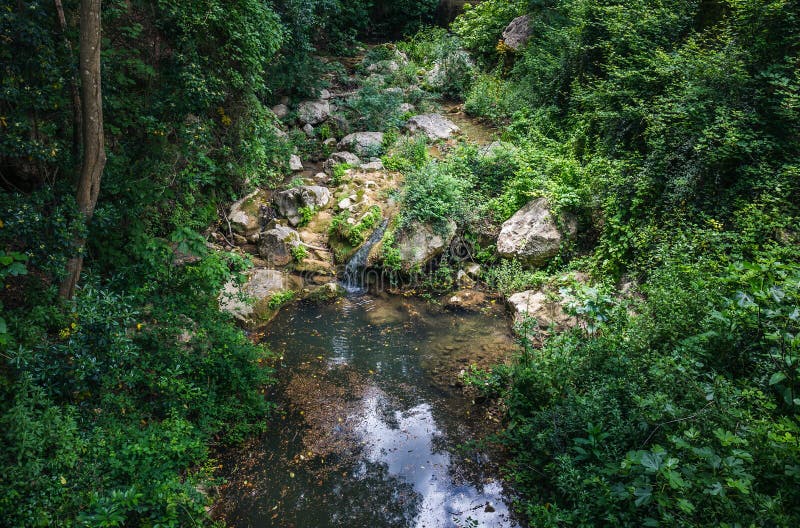 Der GartenBach stockbild. Bild von bach, recht, ruhe