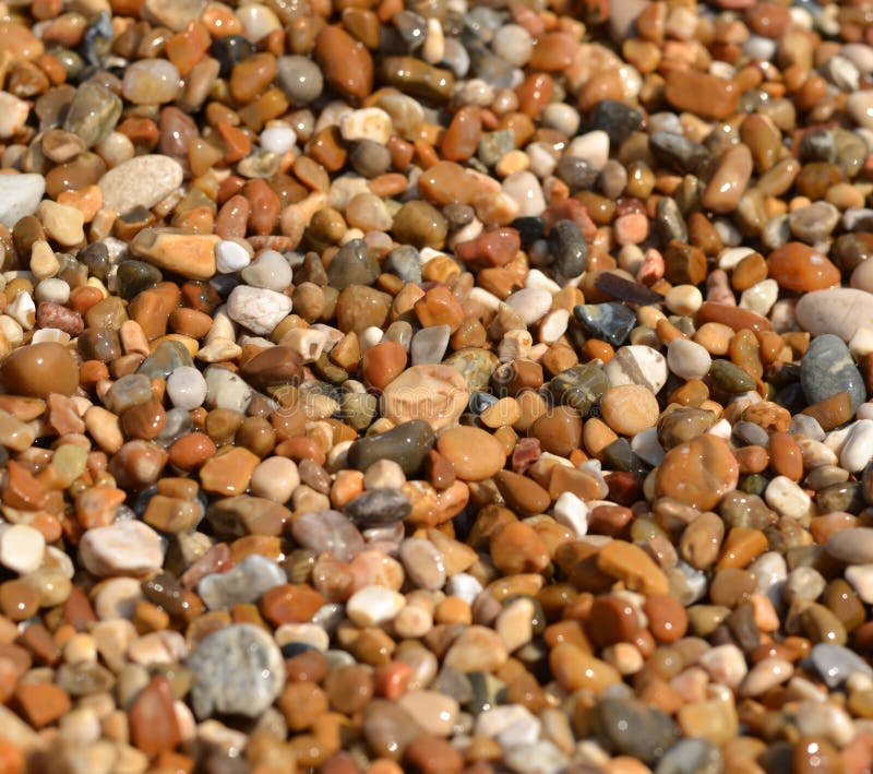 Bach pebbles macro shot stock image Bach pebbles macro shot stock image