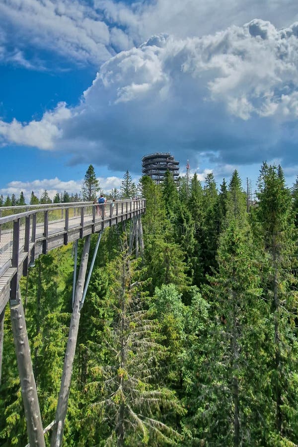 Bachledka treetop walk in the foothills of the Tatra Mountains, Slovakia