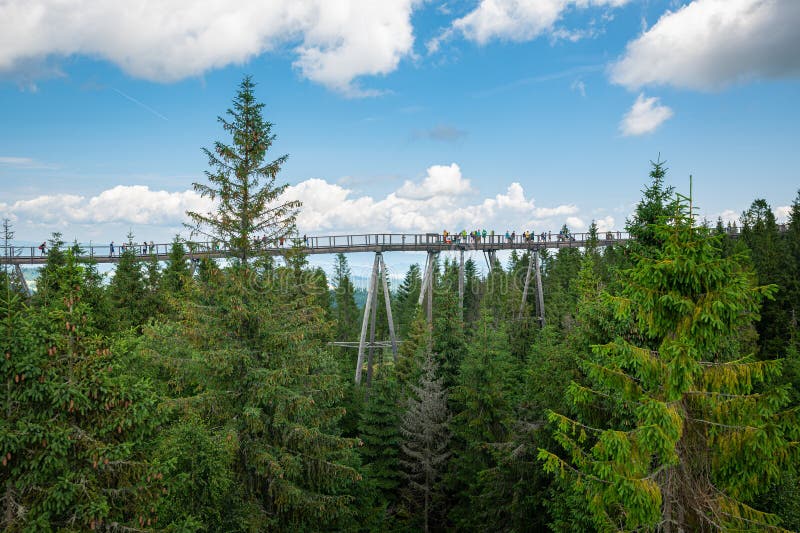 Treetop Walk in Tatra Mountains, Slovakia