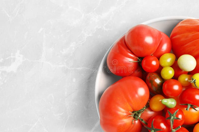 Bacia com os tomates suculentos saborosos e o espaço fotos de stock royalty free