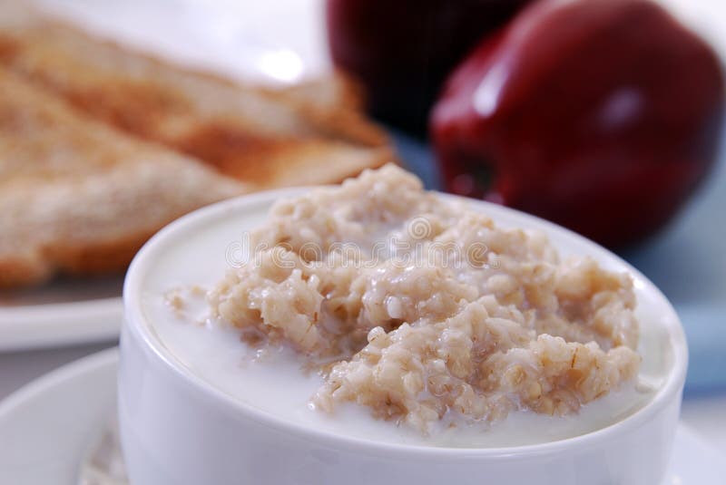 Bacia de Oatmeal imagem de stock Bacia de Oatmeal imagem de stock
