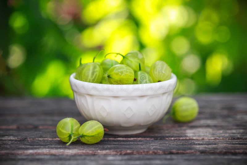 Bacia pequena de groselhas maduras em uma tabela de madeira no jardim do verão imagens de stock Bacia pequena de groselhas maduras em uma tabela de madeira no jardim do verão imagens de stock