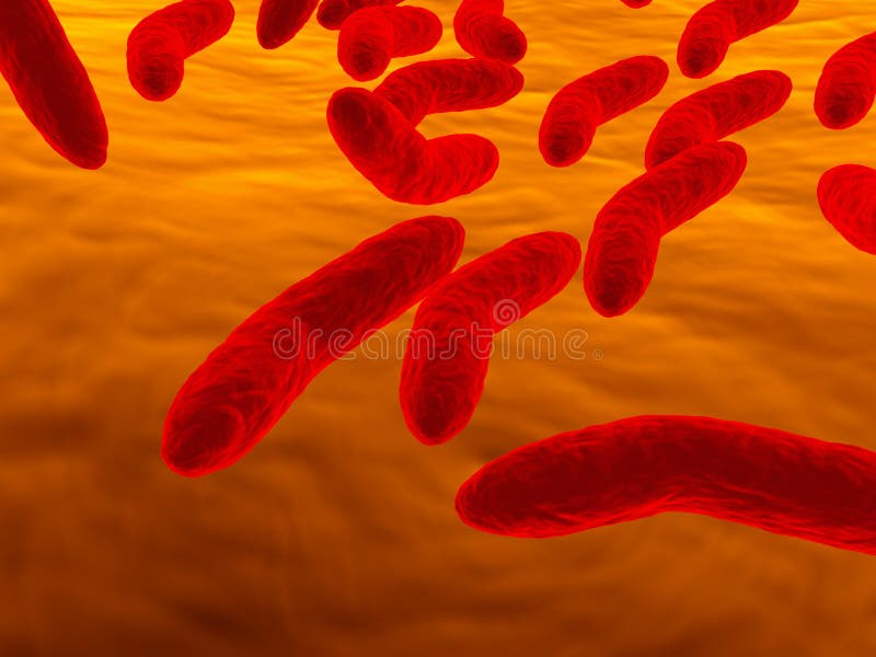 Bacillus bakterieceller royaltyfri illustrationer