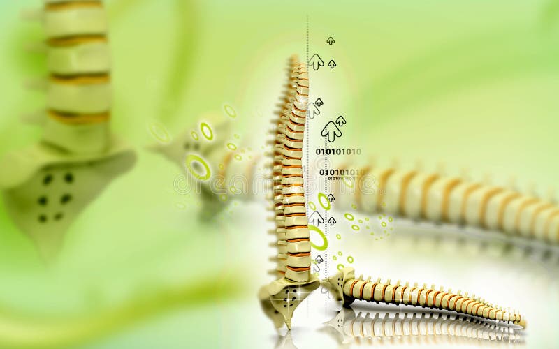 Krishnacreations - Photographer profile