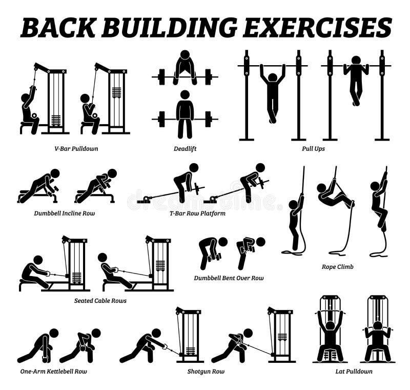 Back Building Exercises Stock Illustrations – 112 Back Building