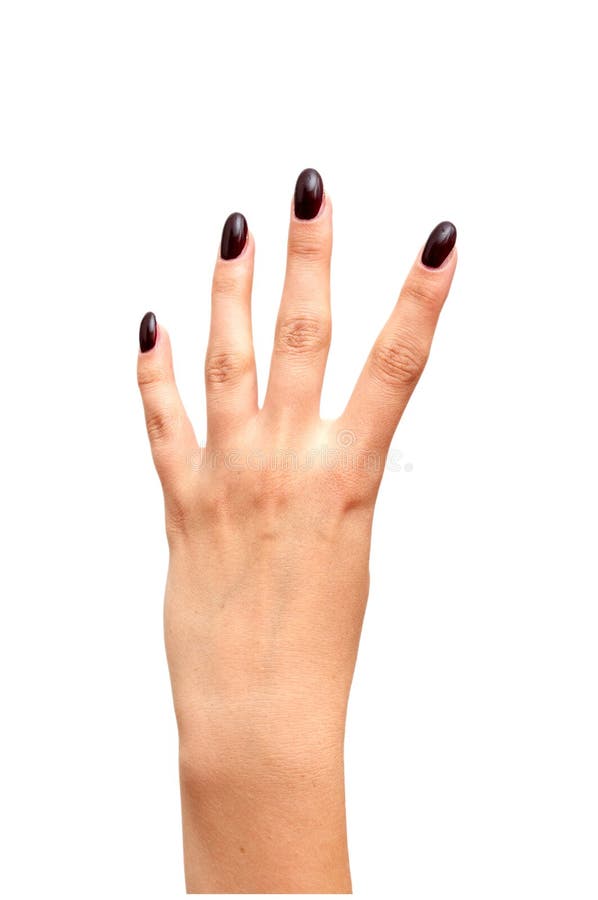 Back left hand four fingers royalty free stock photos