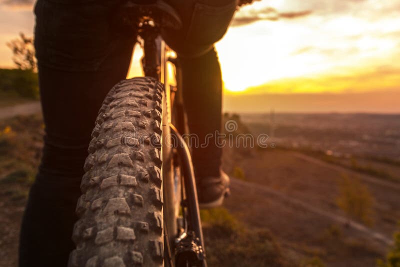 Back shot of mountain bike on sunset. Mountain bike rear wheel detail. Mountain bike tire.