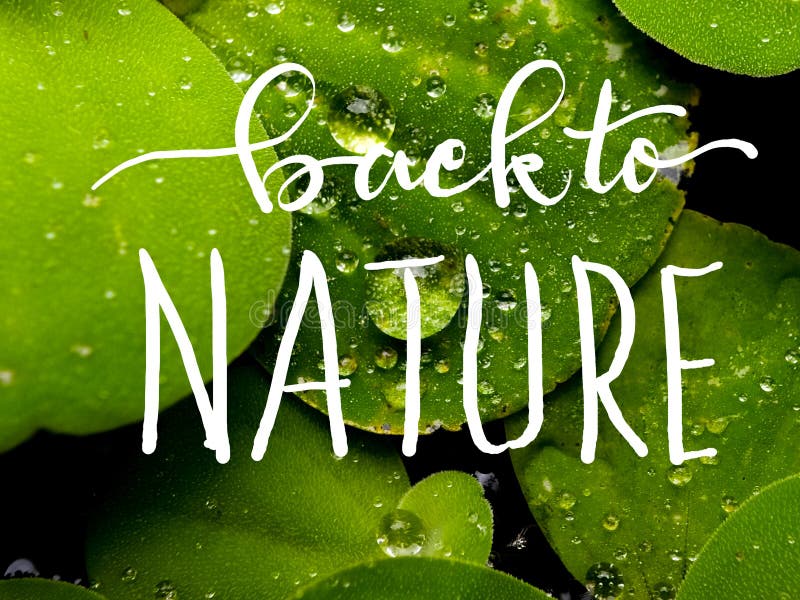 Chỉ với vài thao tác, hãy thay đổi giao diện của thiết bị của bạn với những tấm hình nền Back to nature lettering đầy màu sắc và gần gũi với thiên nhiên.
