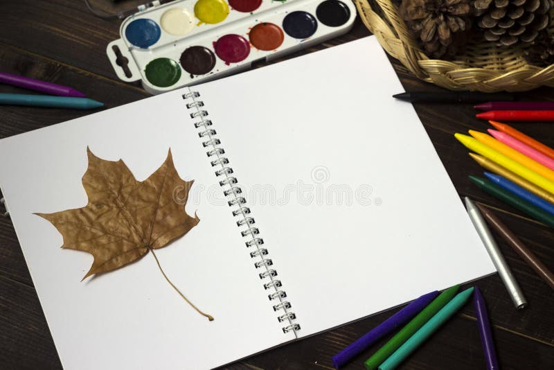 Back to school, autumn, the beginning of school. Background, set of clerical objects: notebook, pen, paints and other