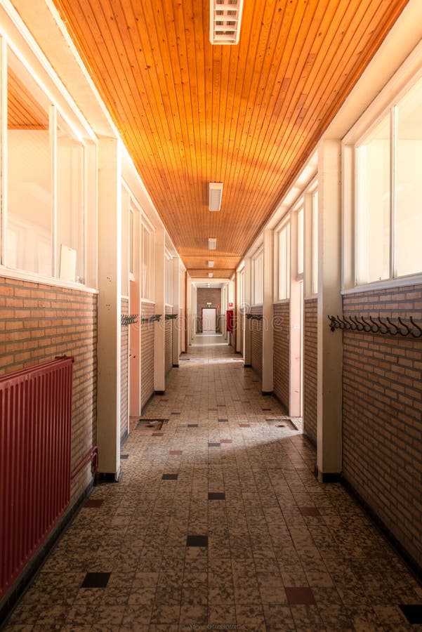 Back To School Colors