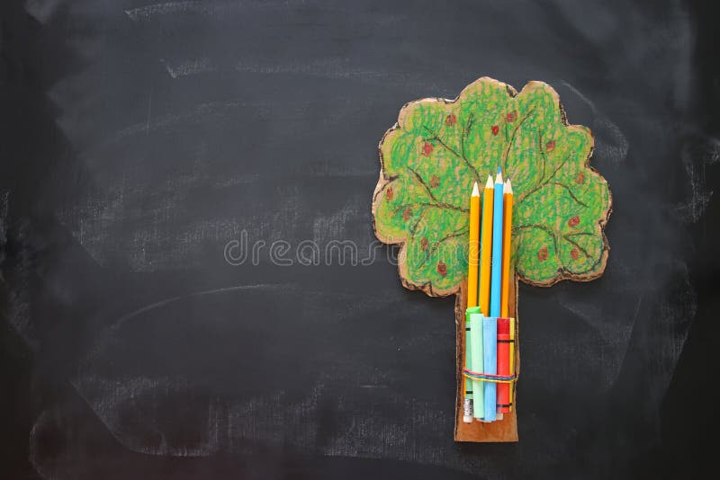 Back to school concept. Top view image tree of knowledge and pencils over classroom blackboard background stock photo