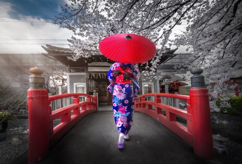 Back view of asia woman with kimono and Japanese umbrella against sakura flower background