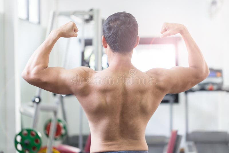 Back Bicep Double Stock Photos - Free & Royalty-Free Stock Photos