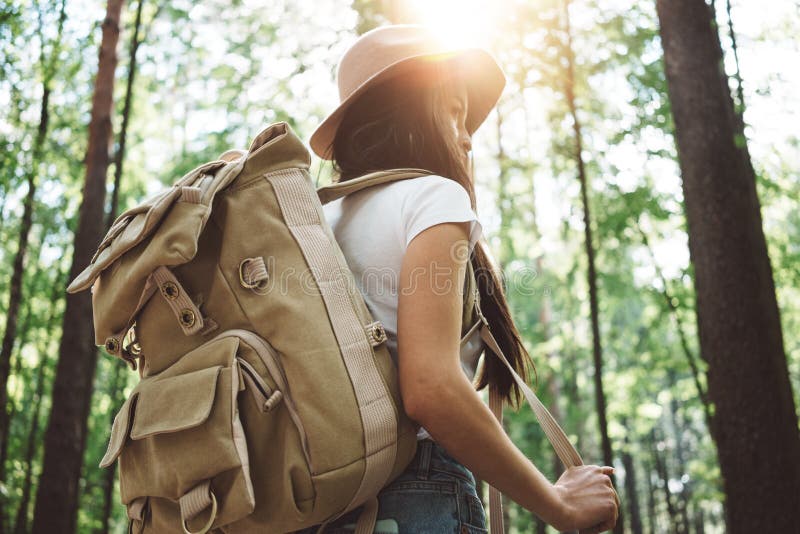 Back view on cute young woman with hat, backpack and location map in hand among trees in forest stock images Back view on cute young woman with hat, backpack and location map in hand among trees in forest stock images