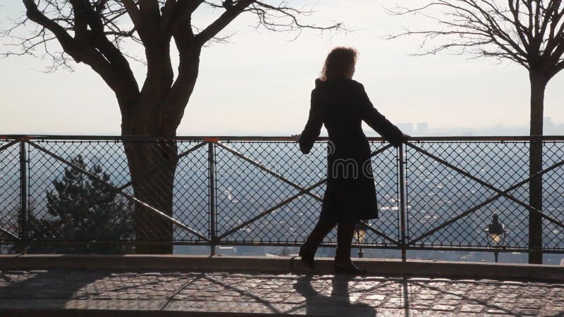 Back view de la femme debout près de railing on clips vidéos