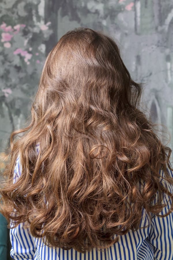 Back View of the Girl& X27;s Long Curly Hair. the Hair is Brown. Hairstyle Stock Photo - Image of brunette, wavy: 229426330 Back View of the Girl& X27;s Long Curly Hair. the Hair is Brown. Hairstyle Stock Photo - Image of brunette, wavy: 229426330