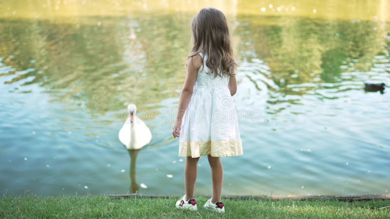 Little girl wearing a dress playing in a, Stock Video