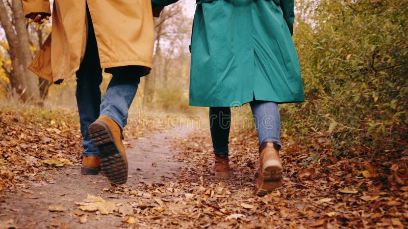 Back View Of Two People Man And Woman Couple In Stylish Coats Walking In Autumn Forest On Cozy