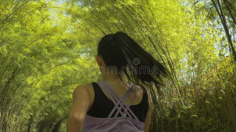 Back view of young woman with pony tail running practicing jogging workout at beautiful city park in healthy lifestyle and sport stock photography Back view of young woman with pony tail running practicing jogging workout at beautiful city park in healthy lifestyle and sport stock photography