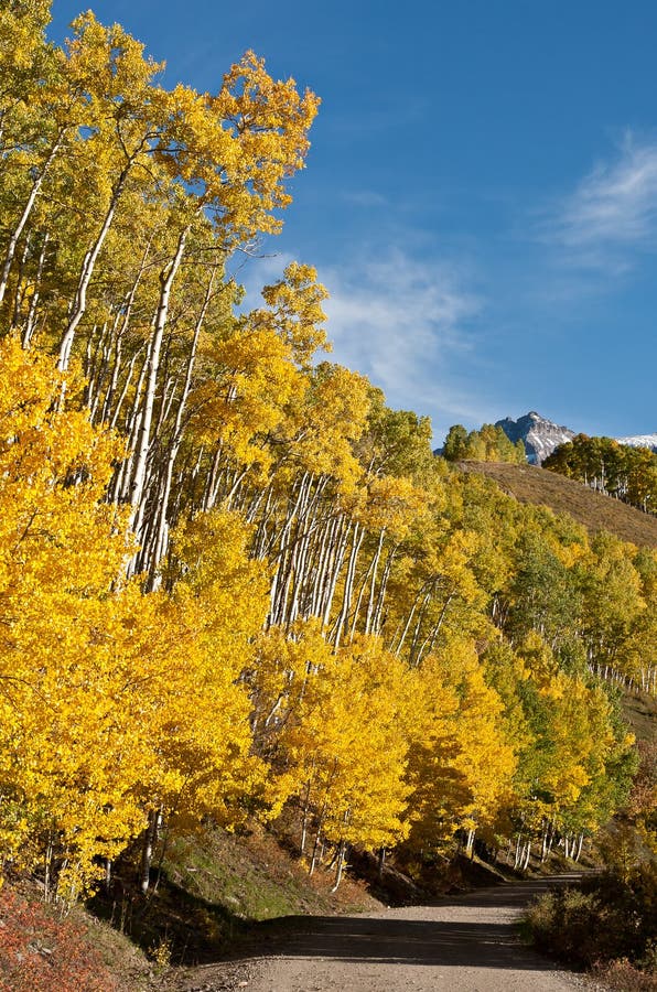 Backcountry Road In Colorado