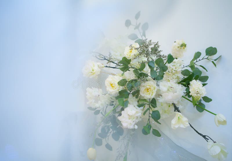 Backdrop with white flower. Wedding decor ,copy space. royalty free stock image