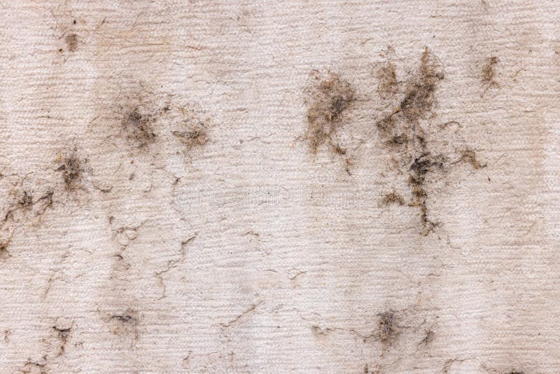 High res close up of ancient textured fabric pale cream detail wall with darker spots