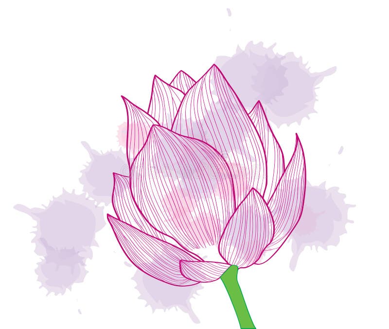 Background. An abstract pink flower