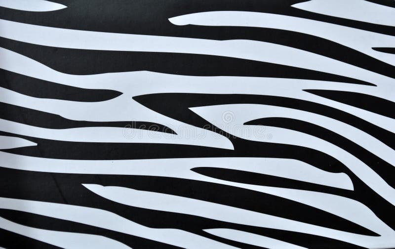 5,212 Zebra Print Background Stock Photos - Free & Royalty-Free Stock  Photos from Dreamstime