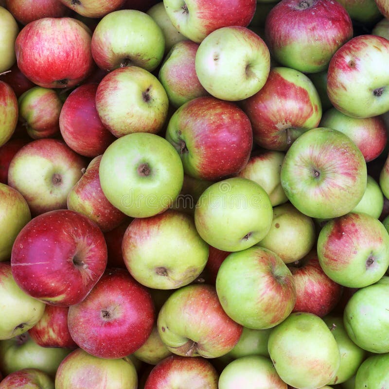 Background of apples. Green apples stock images