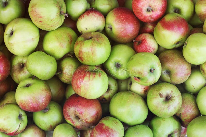 Background of apples. Green apples stock photography