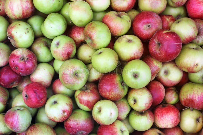 Background of apples. Green apples royalty free stock photo