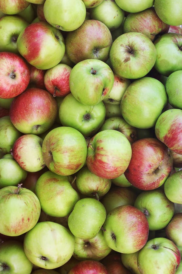 Background of apples. Green apples royalty free stock photos