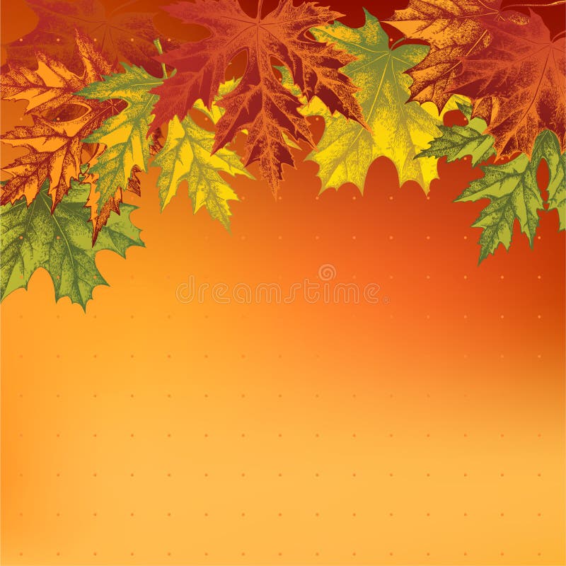 Maple Leaf Drawing Stock Illustrations – 24,563 Maple Leaf Drawing Stock  Illustrations, Vectors & Clipart - Dreamstime