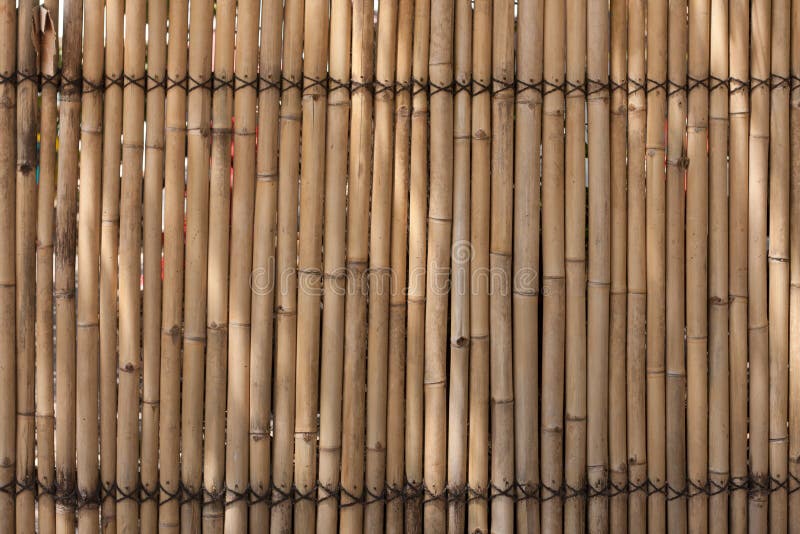 Background of bamboo