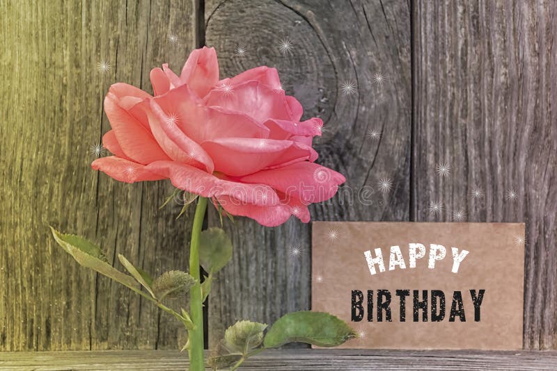 2 833 Rose Bouquet Text Happy Birthday Photos Free Royalty Free Stock Photos From Dreamstime