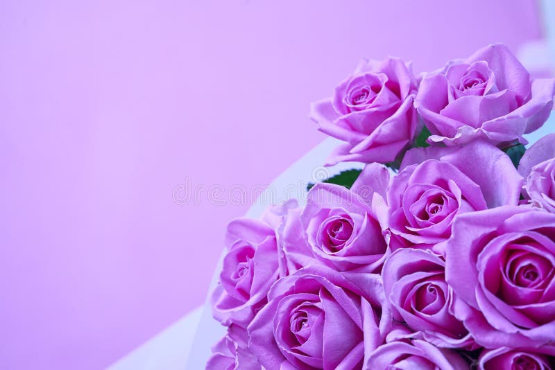Với màu hồng tươi sáng và sắc nét, hoa hồng màu hồng đẹp sẽ làm cho bất kỳ không gian nào trở nên sinh động và lãng mạn hơn. Những hình ảnh về những bông hoa này trong một không gian trống trải sẽ giúp bạn cảm nhận được sự toát lên từ sự đơn giản đến sự tinh tế.