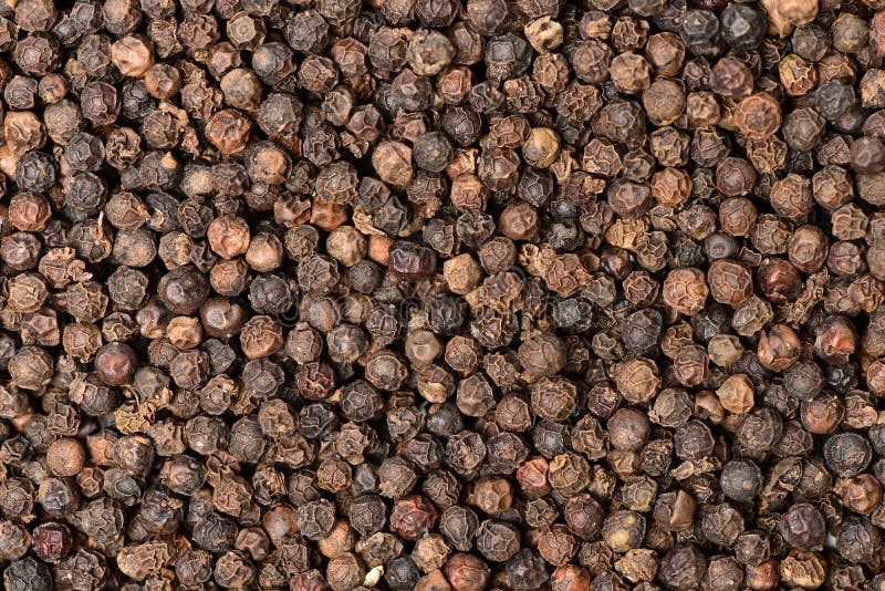 Background of Black Peppercorns Stock Photo Image of mill, flavor