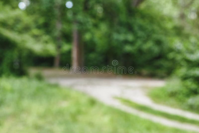 Background, Blur, Park, City, Bokeh, Nature, Green, Forest, Abstract,  Summer, Wallpaper, Stock Photo - Image of brilliance, meadow: 116780792
