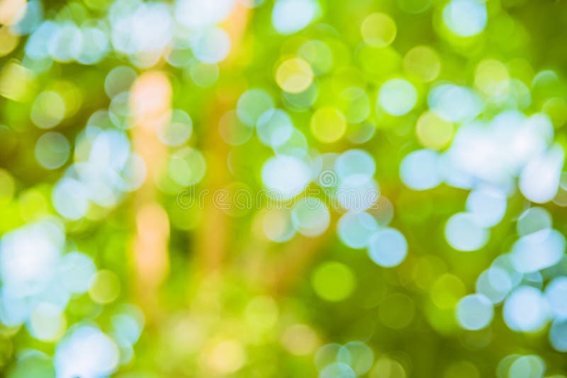 Background Blur Natural and Light Background in the Park Stock Image -  Image of chlorophyll, colorful: 167396083