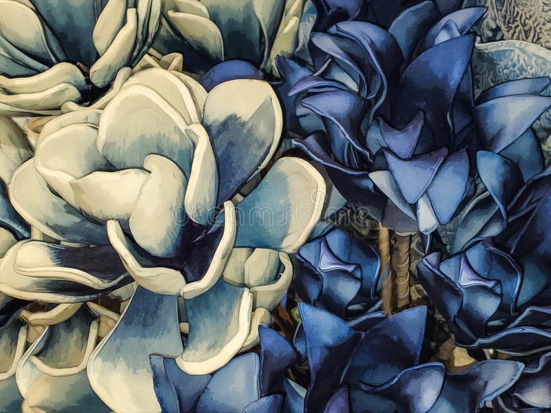 Background of bold and beautiful flowers in cream and rich blues - Magnolia blossoms in forefront - stylized. stock photo Background of bold and beautiful flowers in cream and rich blues - Magnolia blossoms in forefront - stylized. stock photo