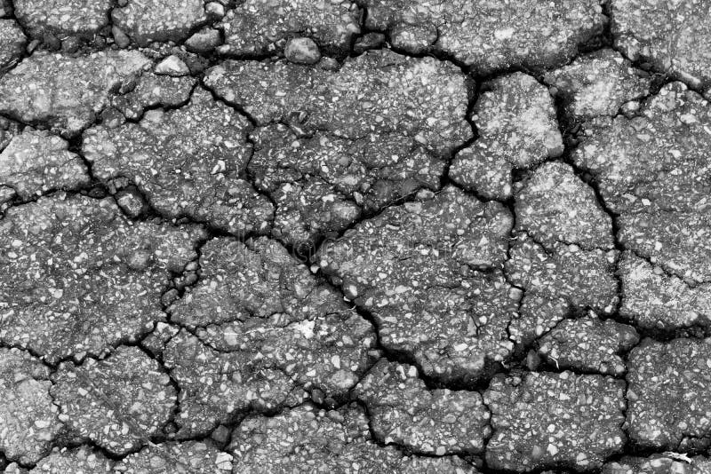 39,479 Broken Ground Photos Free & RoyaltyFree Stock Photos from